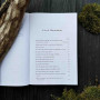 Японські народні казки Japanese Folktales: Classic Stories from Japan's Enchanted Past - Йосі Теодора Озаки Японські народні казки Japanese Folktales: Classic Stories from Japan's Enchanted Past - Йосі Теодора Озаки